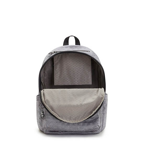 Kipling Delia Klassiska Ryggsäck Silver | SE 1660WN